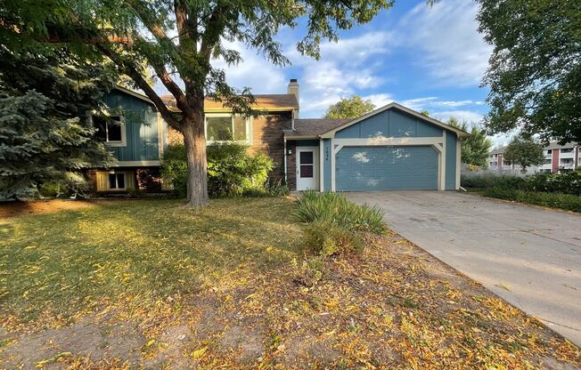 Great Home in Fort Collins