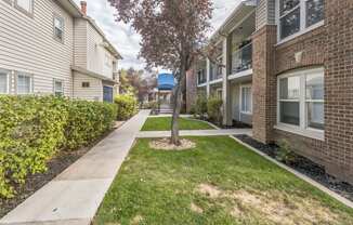 a walkway between two apartment buildings with a tree in the middle