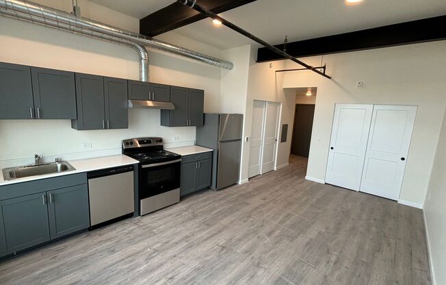 Studio, 1 bath, 398 sqft, $1,250, Unit 207