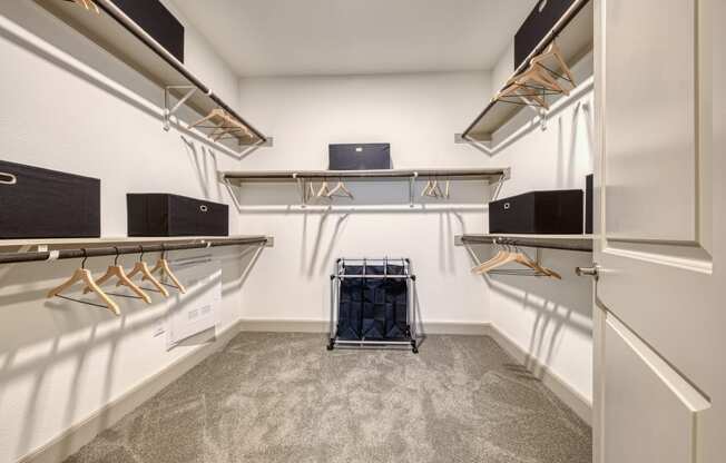 Generous Walk-In Closets With Shelving at Retreat at the Rim, Texas