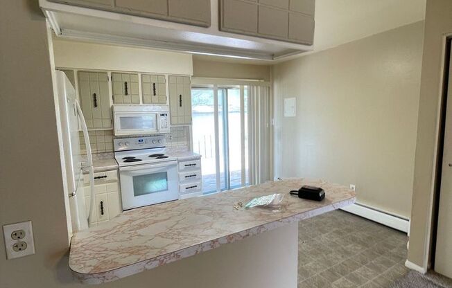325 RUSKIN DRIVE UNIT 3