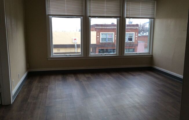 1 bed, 1 bath, $895, Unit Apt #3