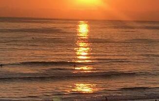 4667 OCEAN
