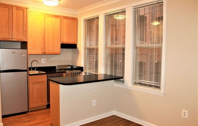 1 bed, 1 bath, 500 sqft, $2,095, Unit 106