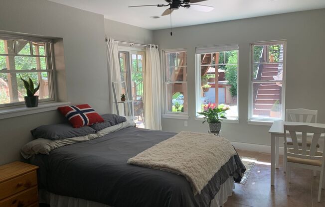Charming 1 bdrm 1 bath lower level Manitou Springs Apartment