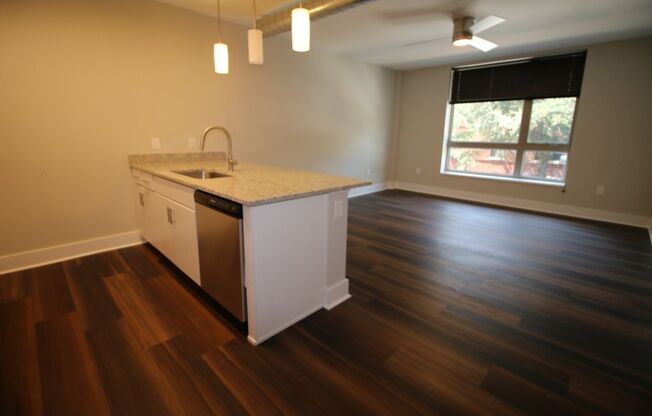 1 bed, 1 bath, 534 sqft, $1,445, Unit APT 104