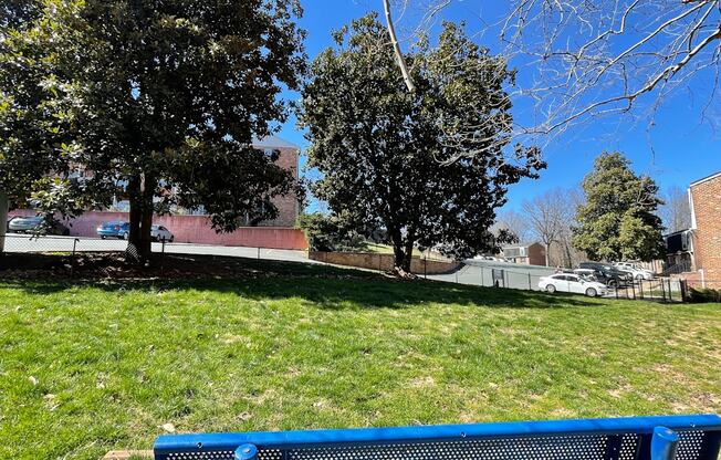 a blue park bench in a grassy area with trees and buildings in the background at Barracks West in Charlottesville, VA