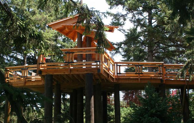 a tree house perched on top of trees