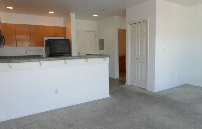 1 bed, 1 bath, $1,850