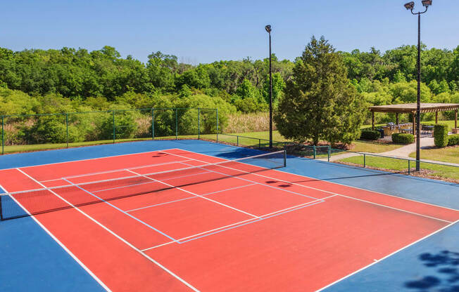 Delano at Cypress Creek outdoor tennis court