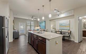 Welcome to Platinum Castle Hills - Lewisville Luxury Apartments