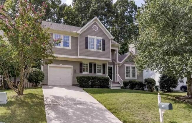 203 MINT HL DR