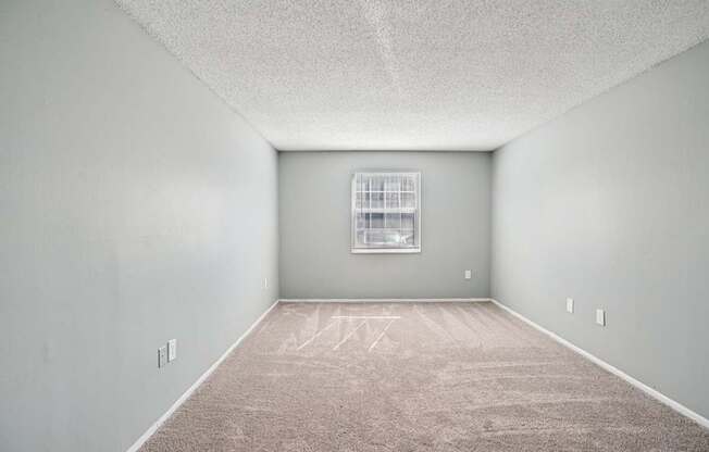 A room with a carpeted floor and a window.