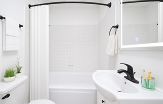 Studio, 1 bath, 250 sqft, $1,395, Unit 77