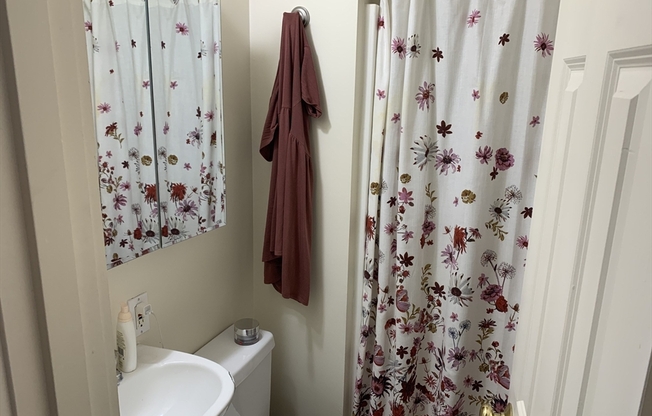 Studio, 1 bath, 600 sqft, $2,300, Unit 1