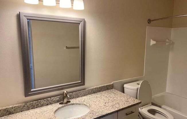 a sink and a mirror