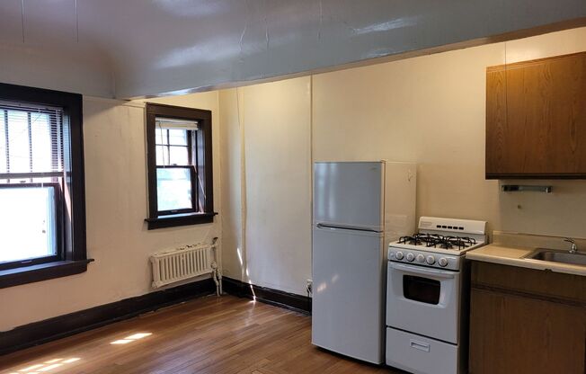 Studio, 1 bath, $795, Unit 207