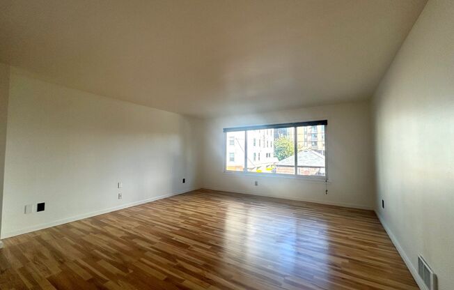 Studio, 1 bath, 464 sqft, $1,395, Unit 204