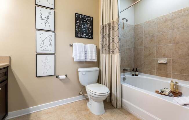 A bathroom with a toilet, a bathtub, and a shower curtain.