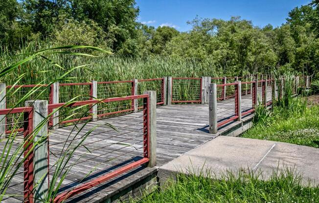 a wooden bridge in a field of grass and trees