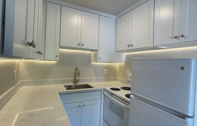 1 bed, 1 bath, 495 sqft, $1,575, Unit 110