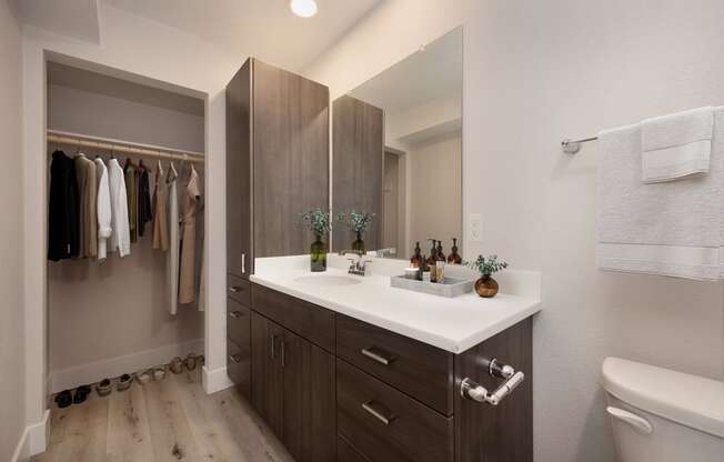 the preserve at ballantyne commons community bathroom with sink and mirror at Track 281 Apartments, Sacramento, CA