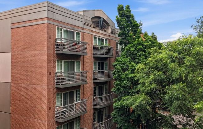 1 bed, 1 bath, 491 sqft, $1,250, Unit 604