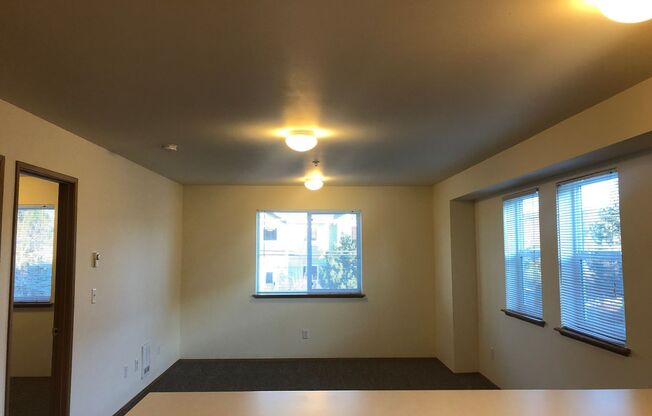 1 bed, 1 bath, 650 sqft, $1,300