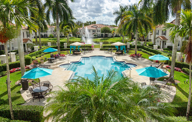 A pool surrounded by palm trees and umbrellas.