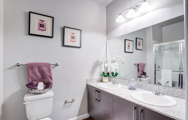 a bathroom with a toilet and a sink and a mirror