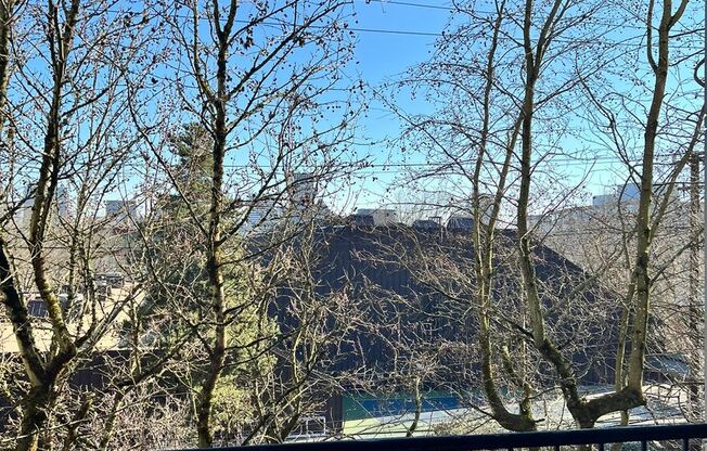 1 bed, 1 bath, 646 sqft, $1,450, Unit 403