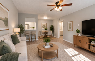 Magnolia Flats