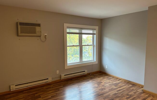 Studio, 1 bath, 400 sqft, $925, Unit Unit 304