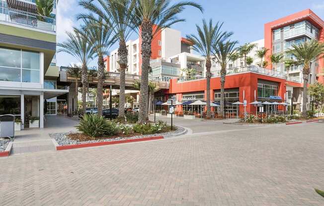 A shopping center with palm trees in front.