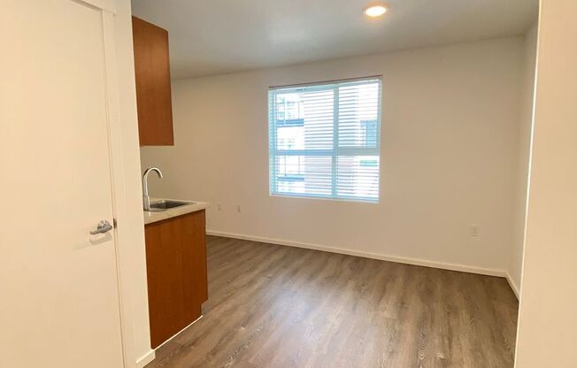 Studio, 1 bath, 175 sqft, $1,350, Unit 5310