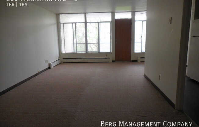 235 MTN AVE
