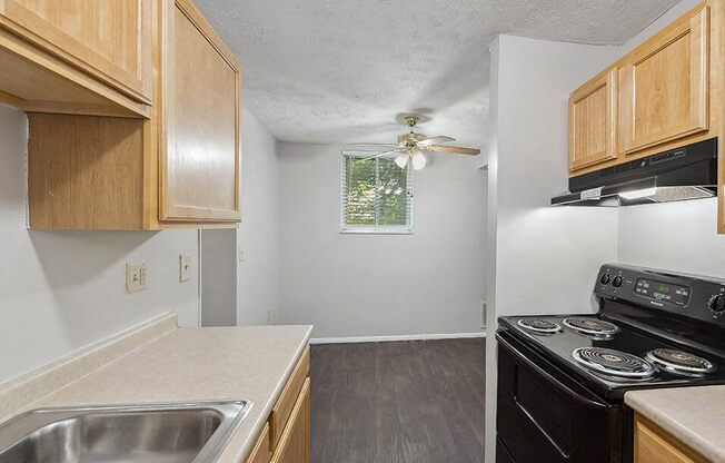 apartment kitchen with a stove and a sink