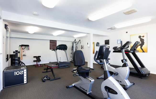 a gym with various exercise bikes and other equipment