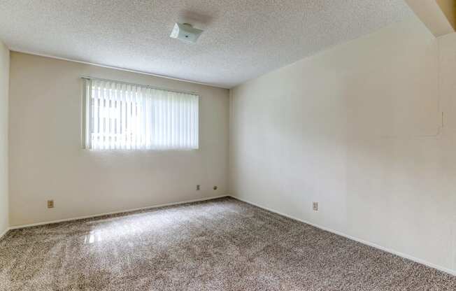 spacious living room