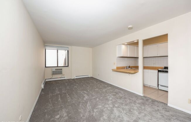 Studio, 1 bath, 400 sqft, $1,395, Unit 223