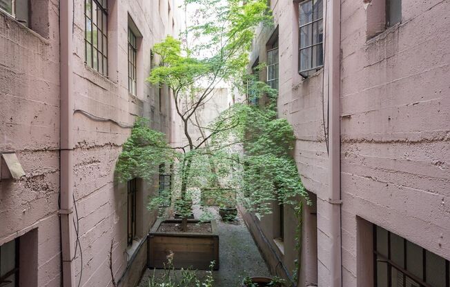 Studio, 1 bath, 485 sqft, $1,195, Unit 406