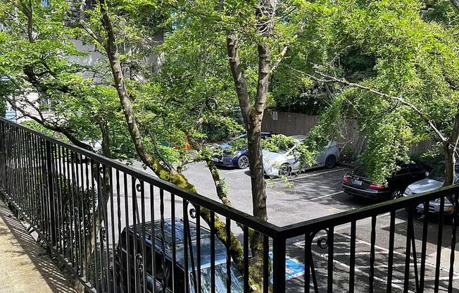 Renovated Apartments at Cedar Lane | Updated Kitchens & LVP Flooring