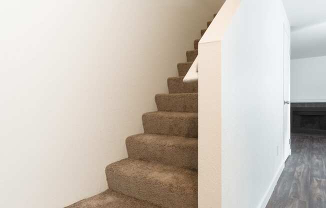 a carpeted staircase in a home with white walls and wood floors