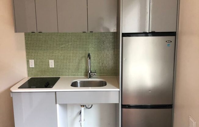 Studio, 1 bath, 202 sqft, $1,100, Unit 102