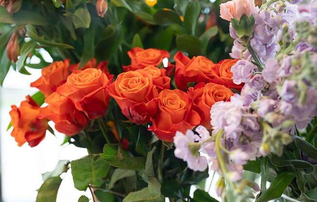A bouquet of orange roses and purple flowers.