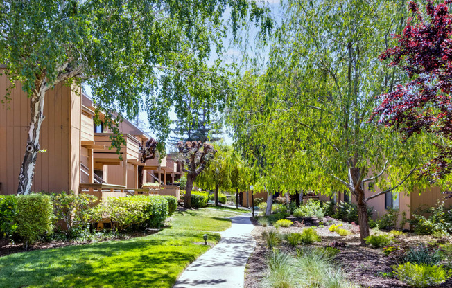 a sidewalk with trees and bushes on either side