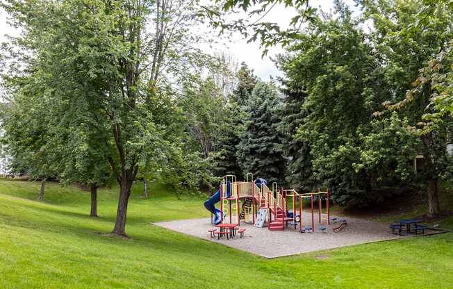 a playground with a slide in the middle of a grassy field