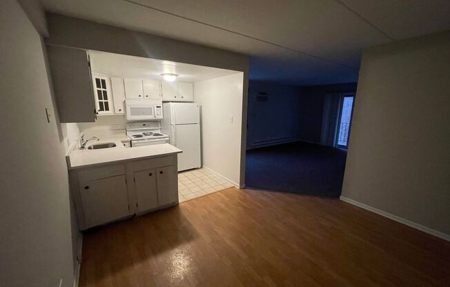 1 bed, 1 bath, 700 sqft, $1,250, Unit 101