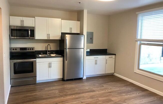 1 bed, 1 bath, 420 sqft, $1,350, Unit 313