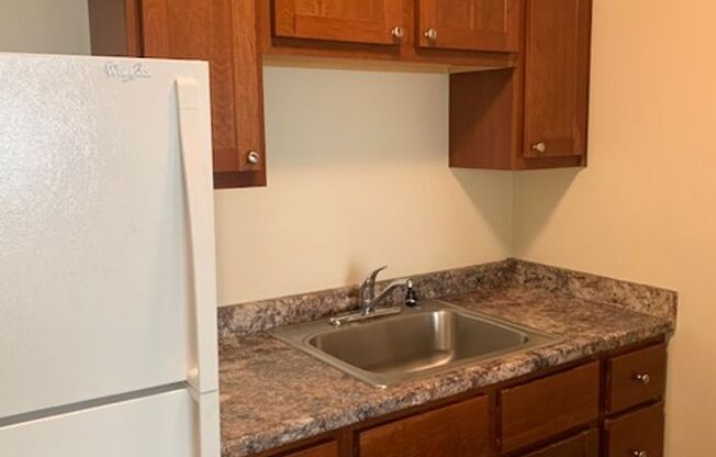 1 bed, 1 bath, 650 sqft, $1,295, Unit 3050203